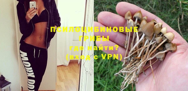 ALPHA PVP Лабытнанги