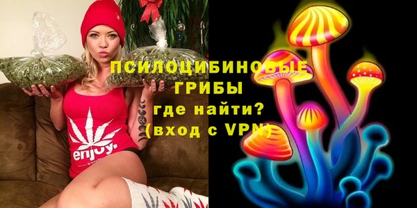 ALPHA PVP Лабытнанги