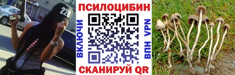 Псилоцибиновые грибы MAGIC MUSHROOMS Шимановск