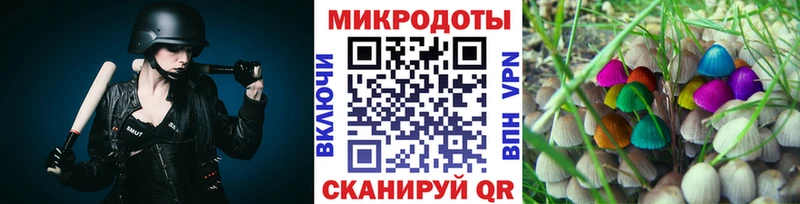 Псилоцибиновые грибы Psilocybe  Шимановск 