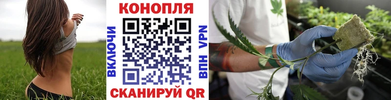 Бошки марихуана индика  Шимановск 